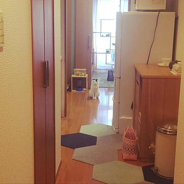 実例写真