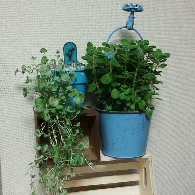 rk5kuuさんの実例写真