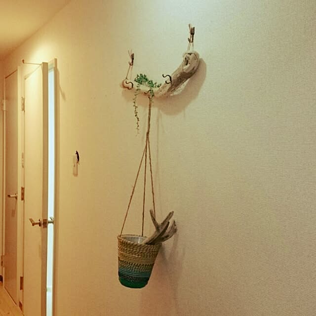maiさんの実例写真