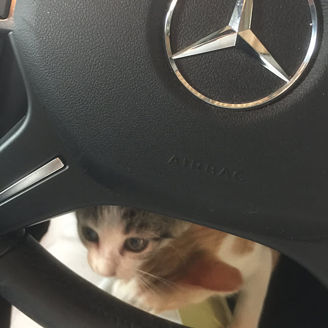 -さんの実例写真