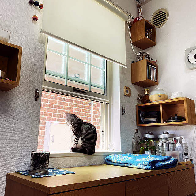 hanaさんの実例写真