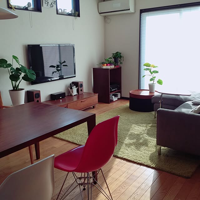 実例写真