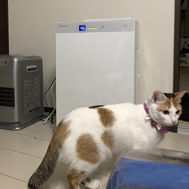 Chiiさんの実例写真