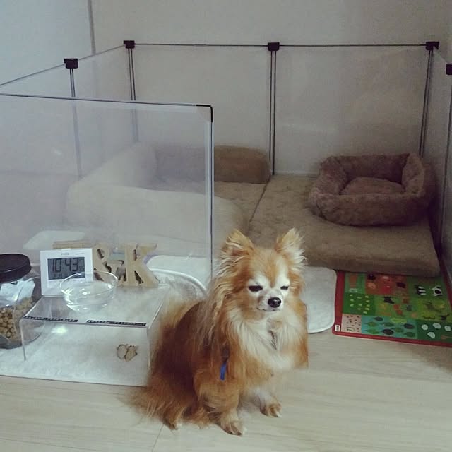 kaoさんの実例写真