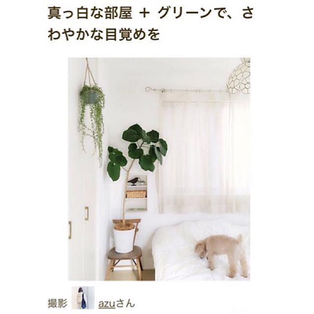 azuさんの実例写真