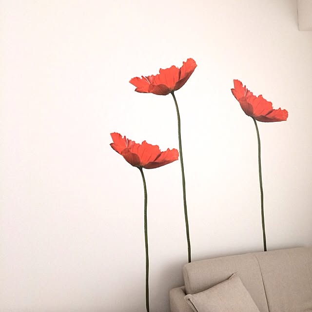 mskさんの実例写真