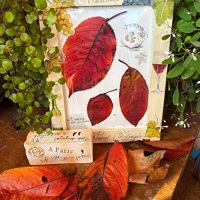 miicyanさんの実例写真