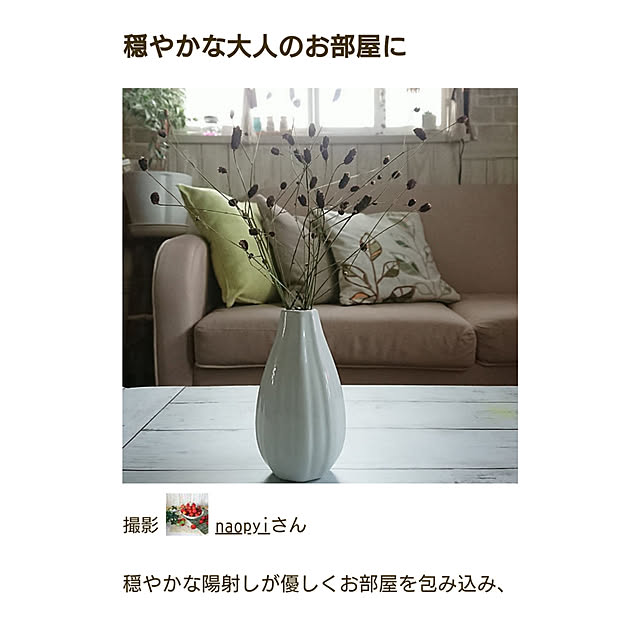 naopyiさんの実例写真