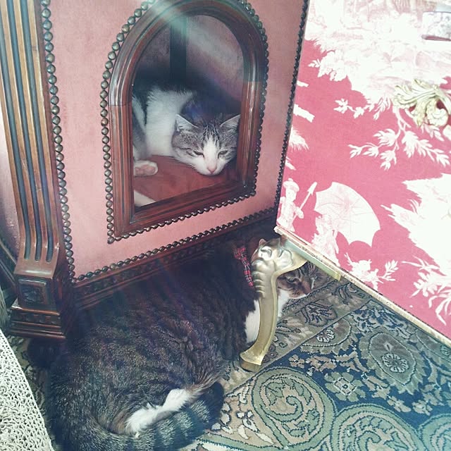 emmyyさんの実例写真