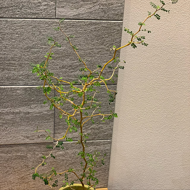 h_home.hさんの実例写真