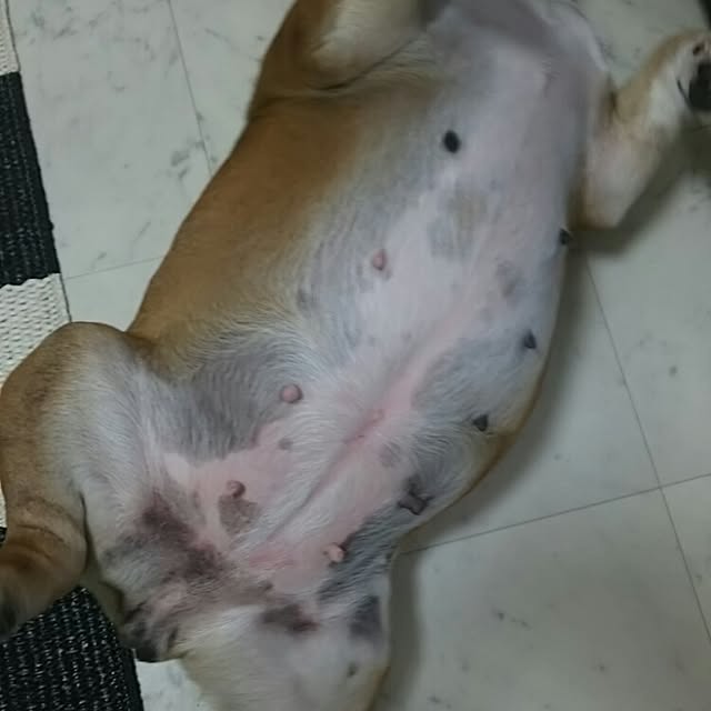 AandPさんの実例写真