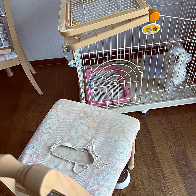 norikorinさんの部屋