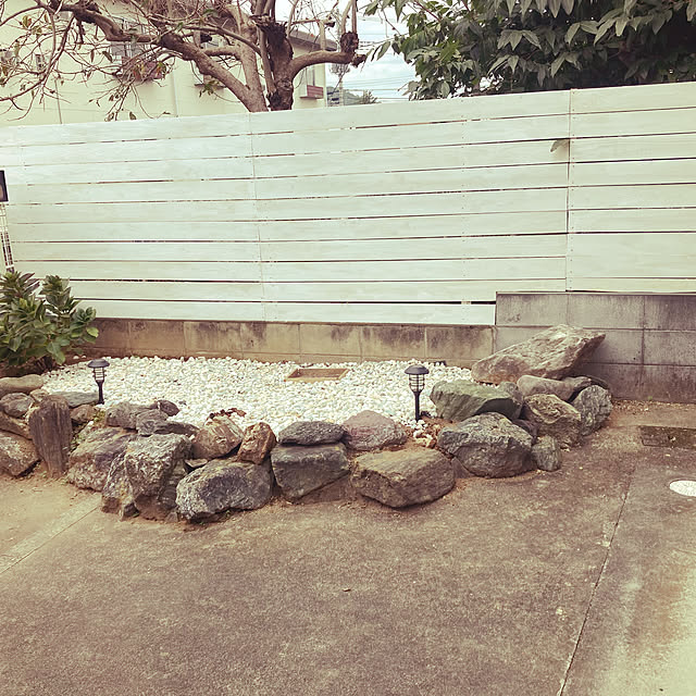 megさんの実例写真