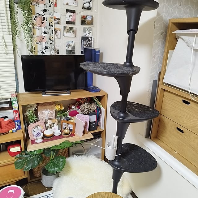 無印良品 スタッキングシェルフ・ワイド・2段・オーク材 幅81.5 無印良品 スタッキングシェルフ・ワイド・2段・オーク材 幅81.5