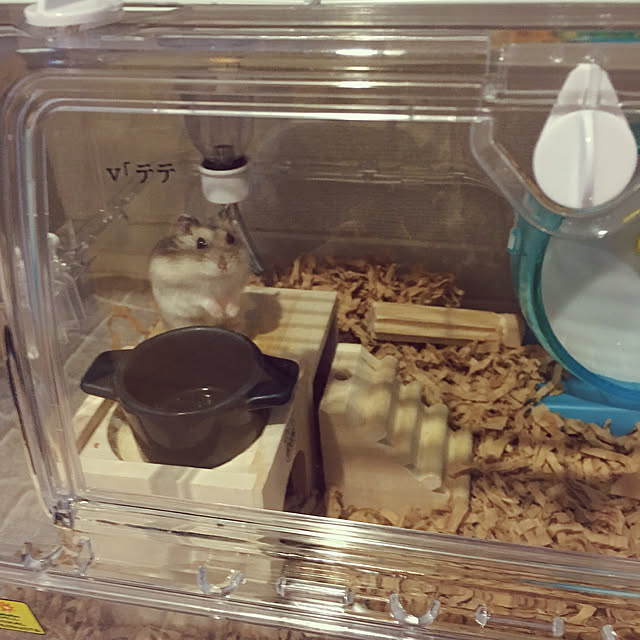 部屋全体/Vくん♡/メゾネットタイプ/ハムスター飼ってます◡̈♥︎/防弾少年団...などのインテリア実例 - 2018-10-11 15:01:11