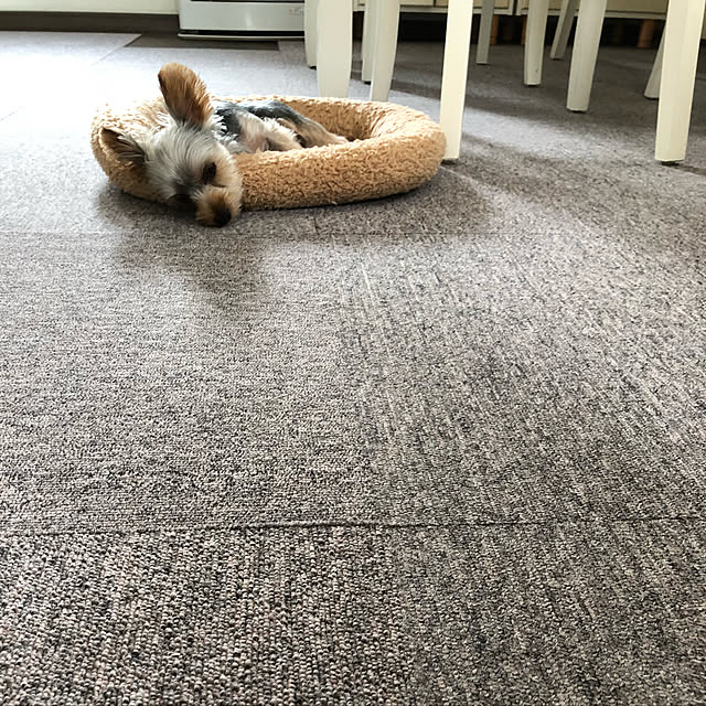 tmmycpさんの実例写真