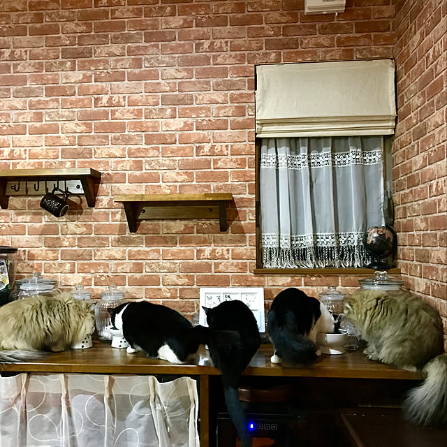 butachanさんの実例写真