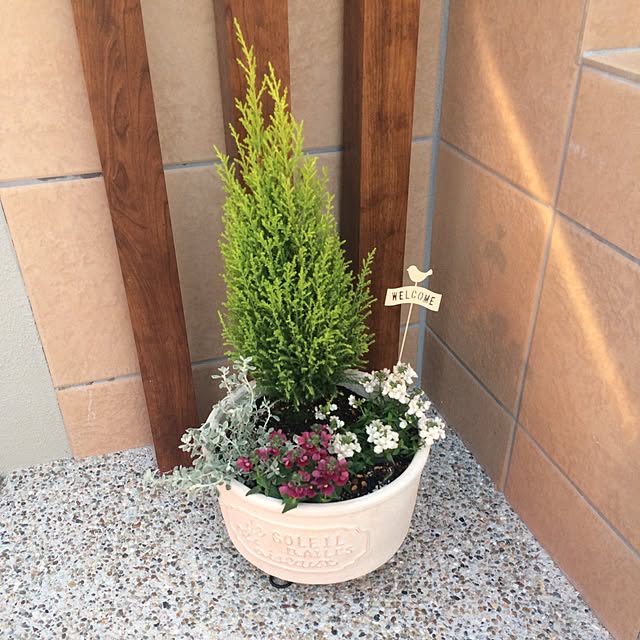 wyさんの実例写真