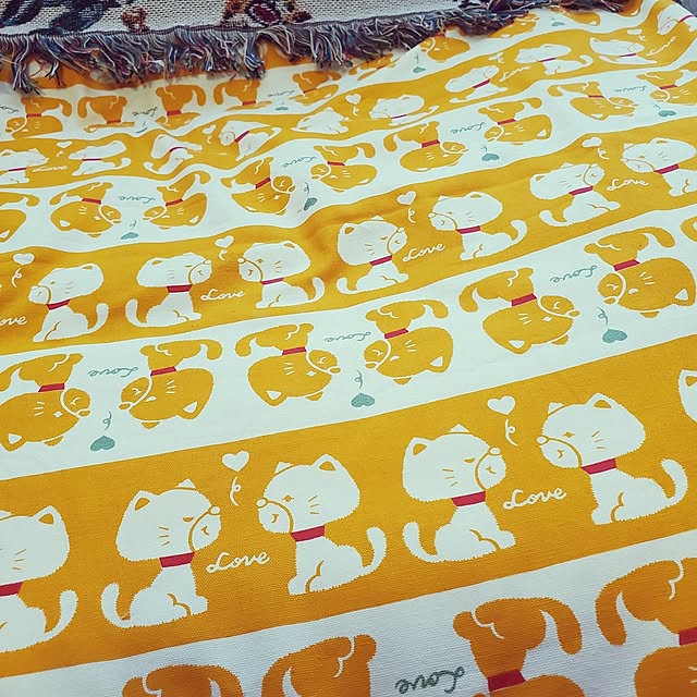 sasasaさんの部屋