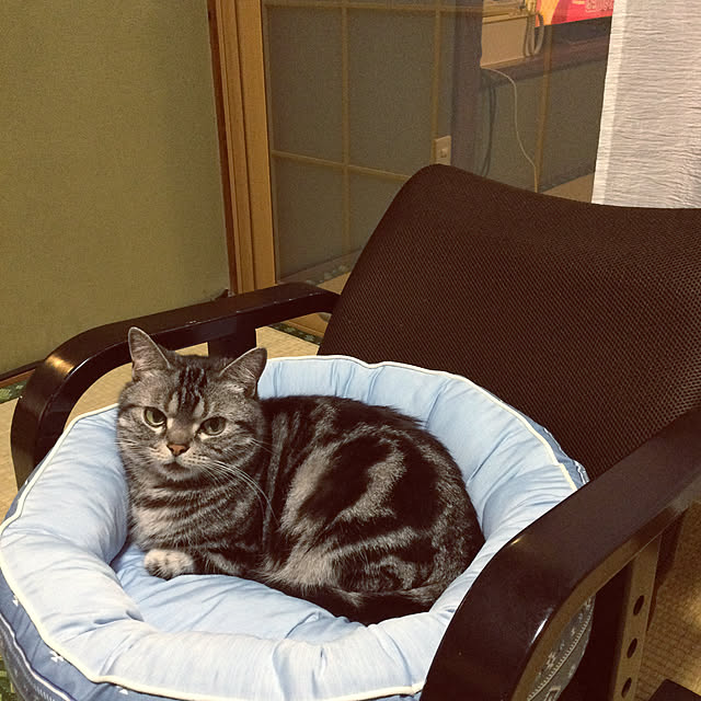 richanさんの実例写真