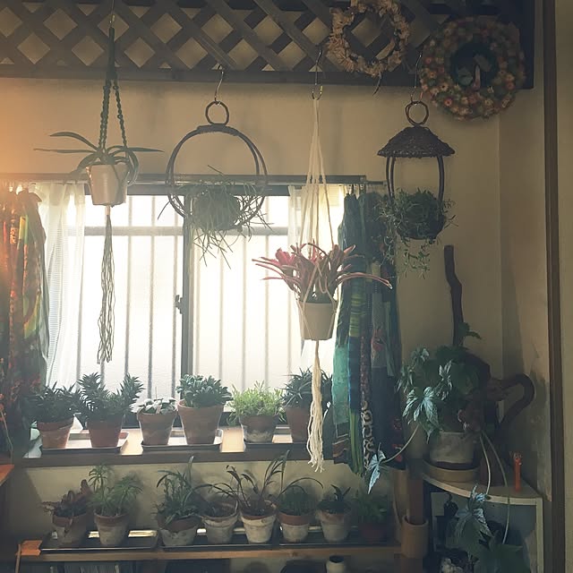 midoriさんの実例写真