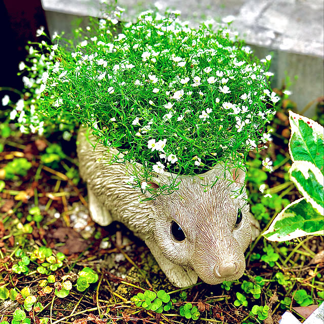 hinamamaさんの実例写真