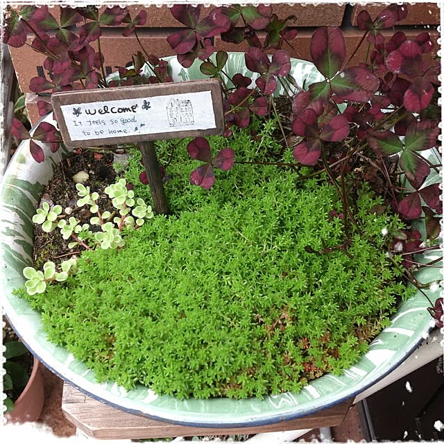 cedarrosemamさんの実例写真
