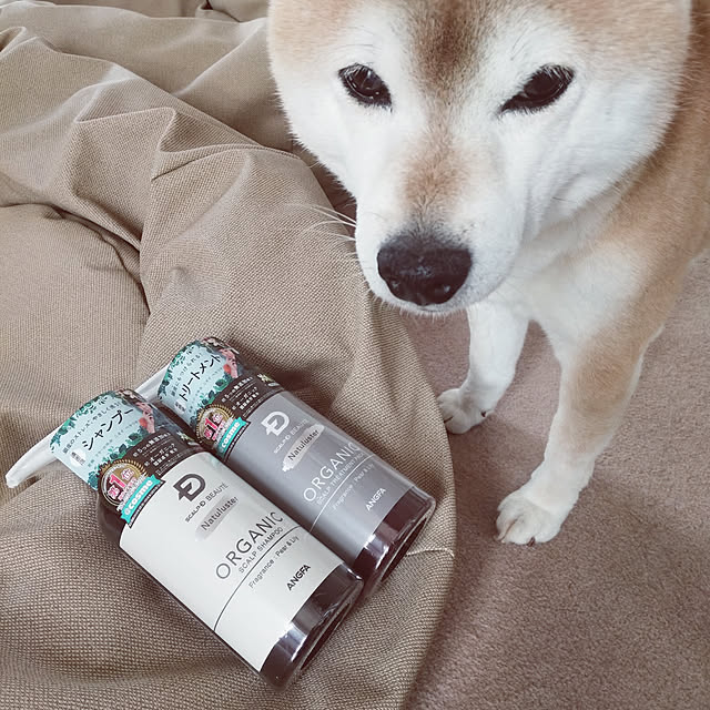 ponhanaさんの実例写真