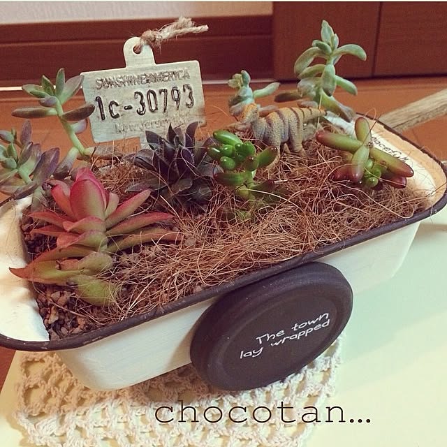 choco_tanさんの実例写真