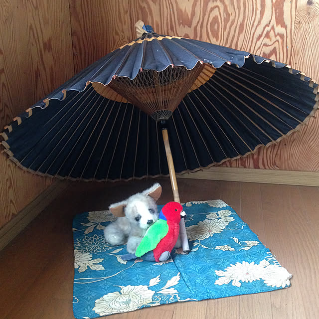 aoinokimiさんの実例写真