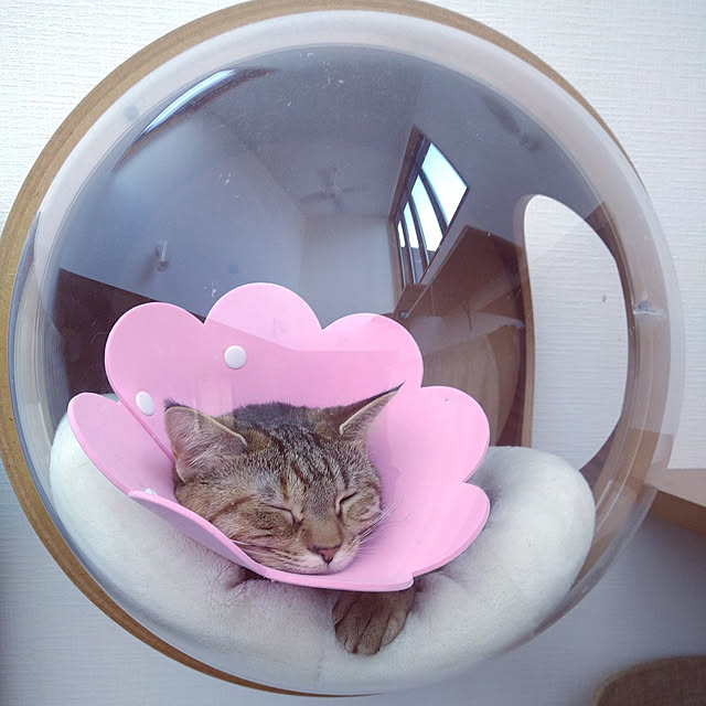 mochicoさんの実例写真