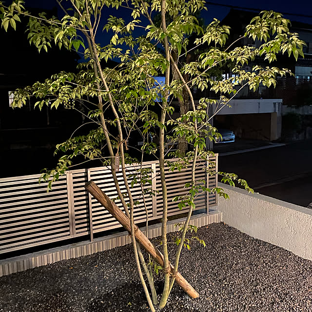 HaRuさんの実例写真