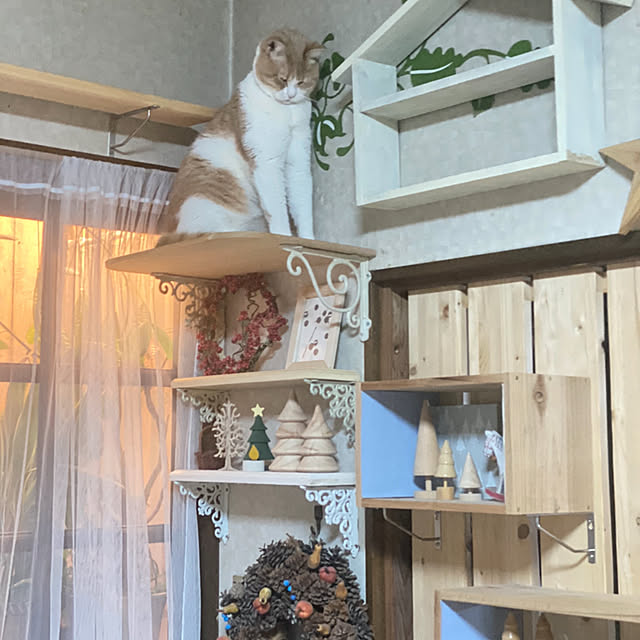 mintteaさんの部屋