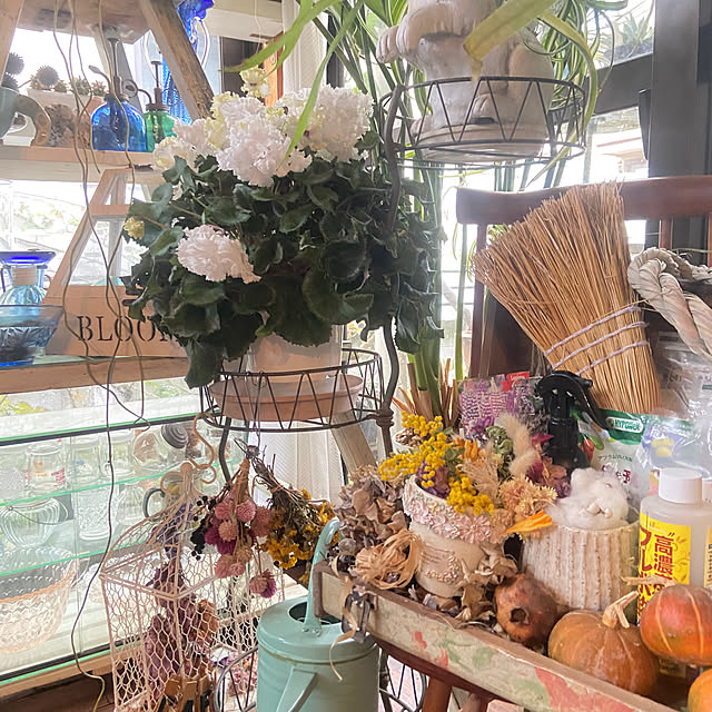 na-chanさんの部屋