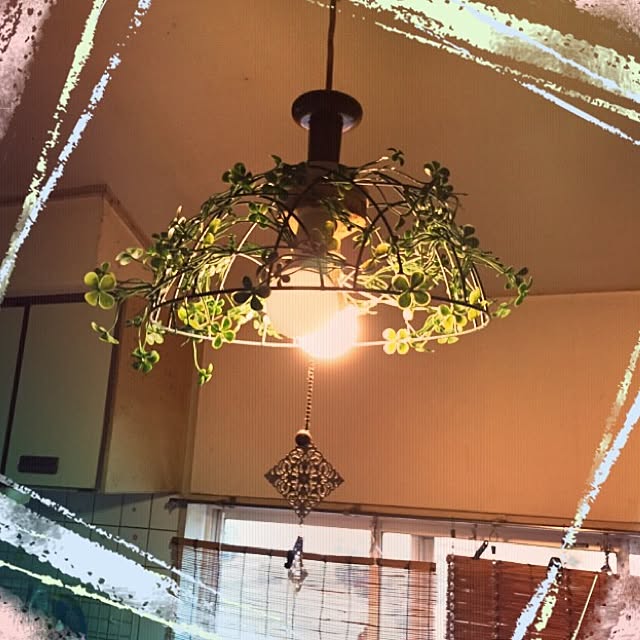 実例写真