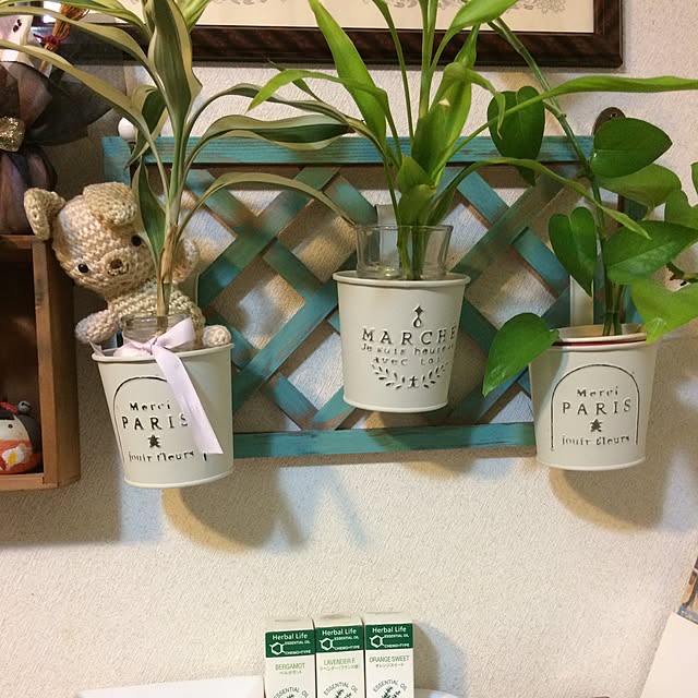 snoopymamaさんの実例写真