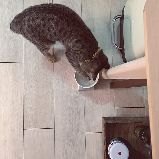Mさんの実例写真