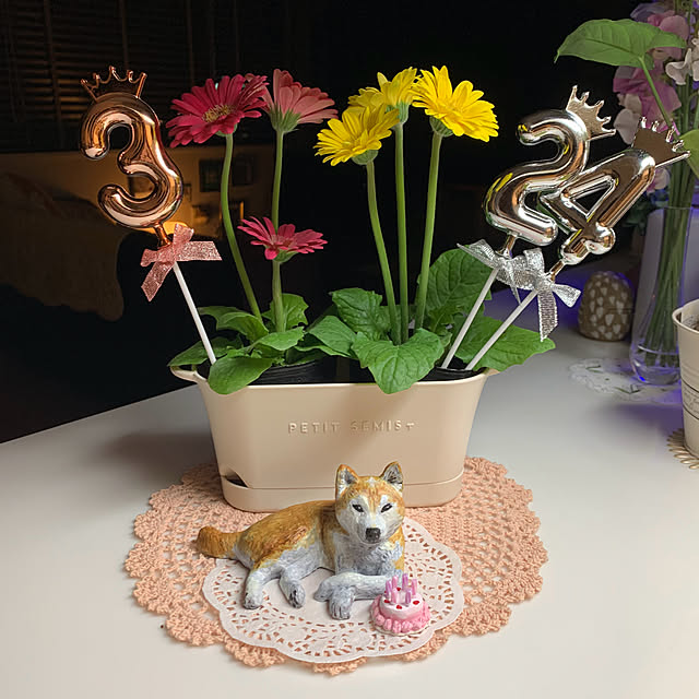 kotatsuさんの部屋
