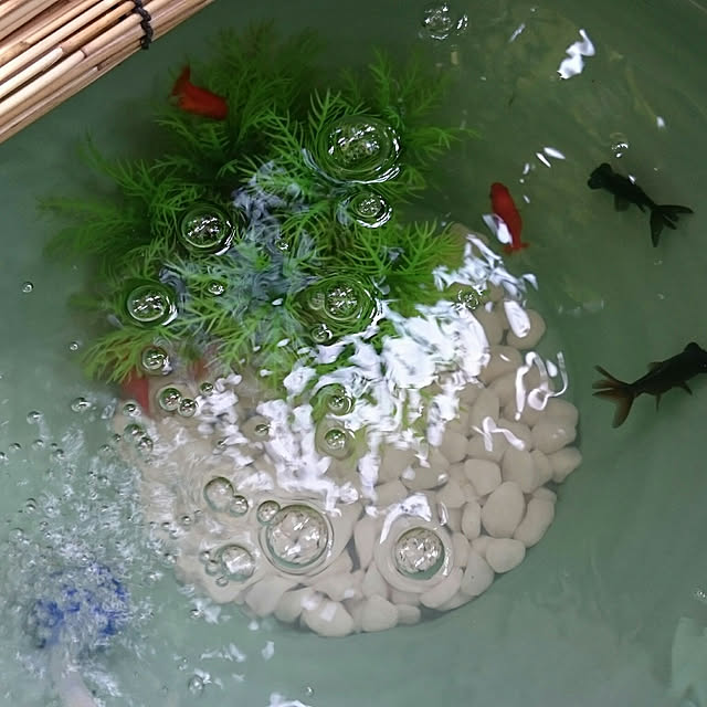 実例写真