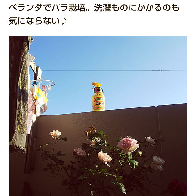 hiromimiさんの実例写真