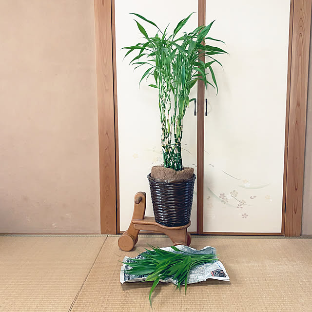 KYONさんの実例写真