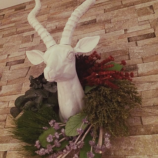 misaさんの実例写真