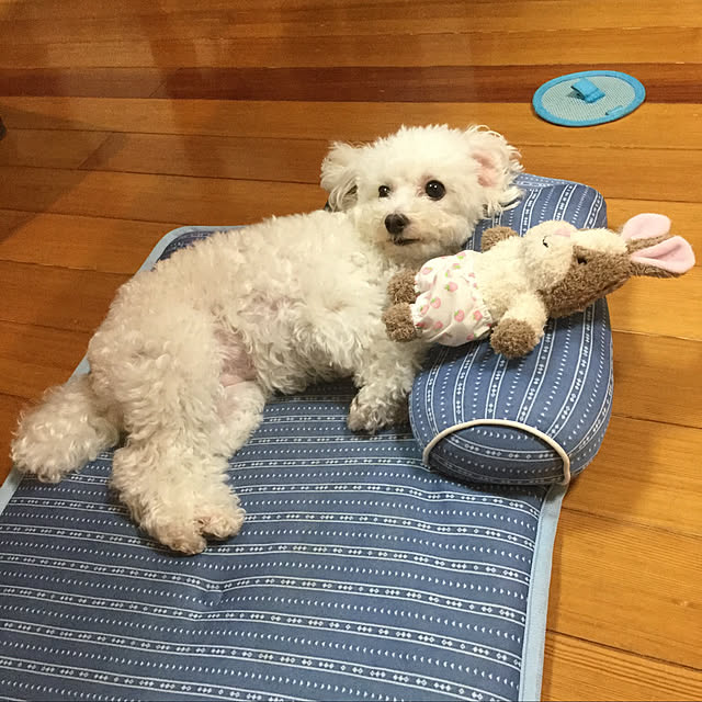 kakoさんの実例写真
