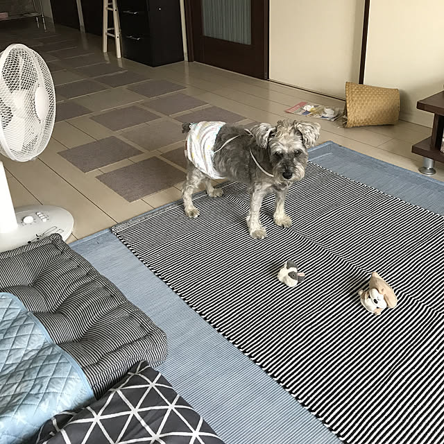 alchoさんの実例写真