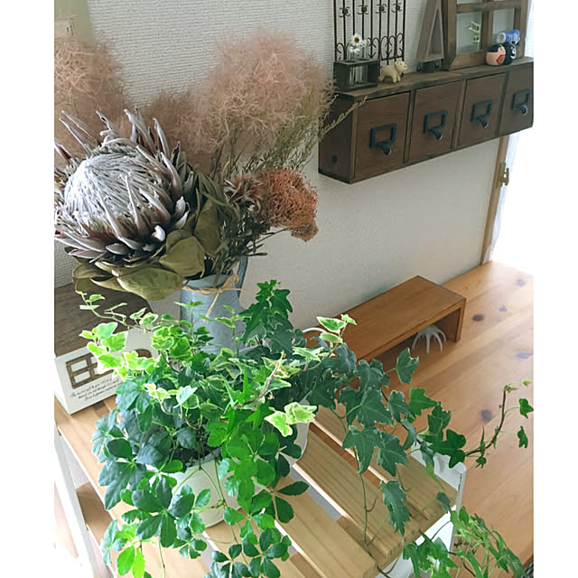 hiyoさんの実例写真