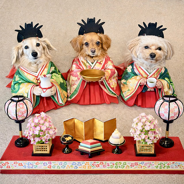 chachamamaさんの部屋