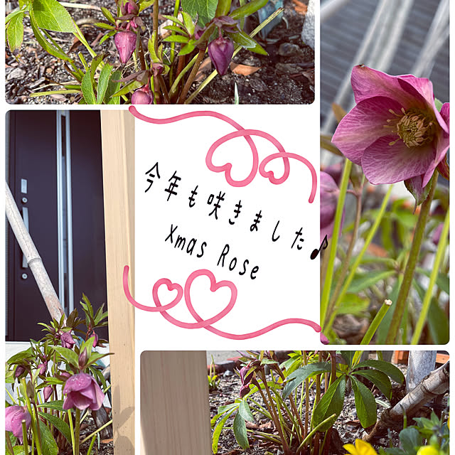 m.kさんの実例写真