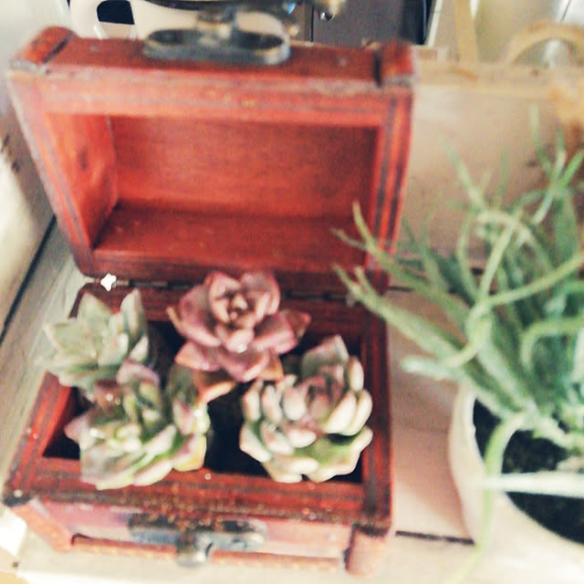 Tomopさんの実例写真