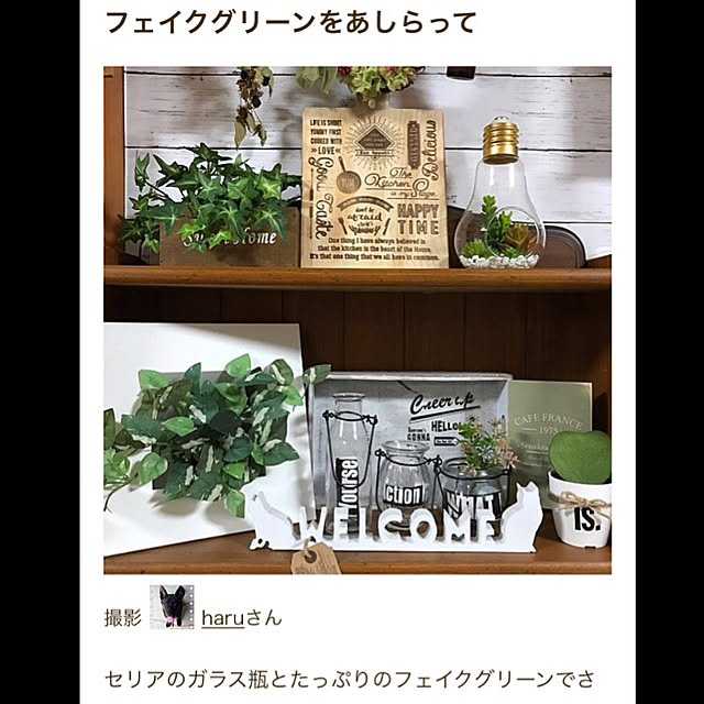 haruさんの実例写真