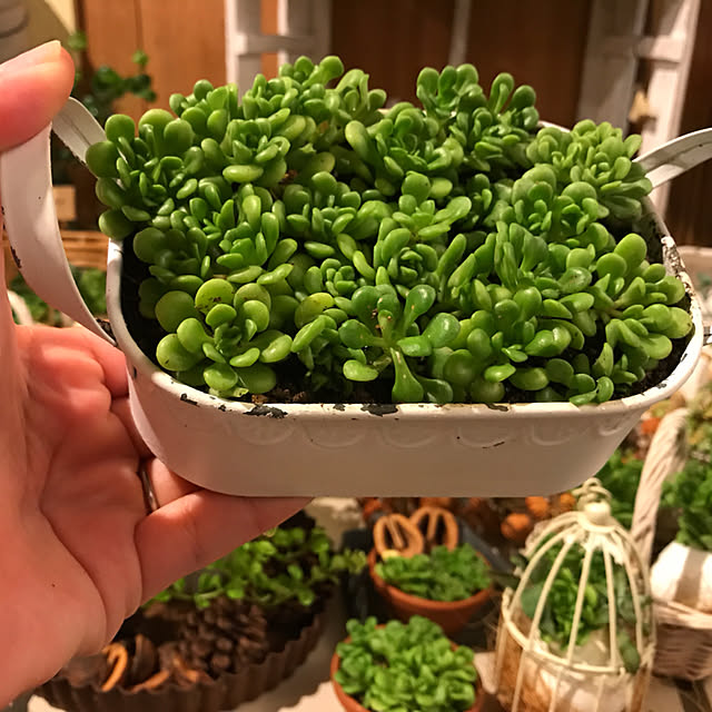 coraruさんの実例写真